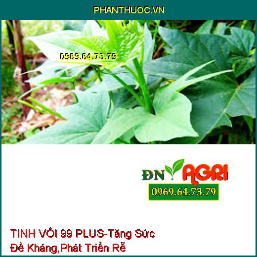 PHÂN BÓN CAO CẤP TINH VÔI 99 PLUS-Cải Tạo Đất, Tăng Sức Đề Kháng, Phát Triển Rễ