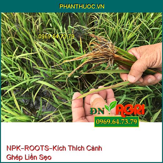 PHÂN BÓN HỖN HỢP NPK–ROOTS–Kích Thích Cành Ghép Liền Sẹo, Kích Thích Hạt Nảy Mầm