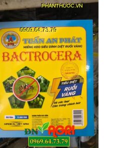 MIẾNG KEO SIÊU DÍNH DIỆT RUỒI VÀNG BACTROCERA-Diệt Ruồi Vàng Và Côn Trùng