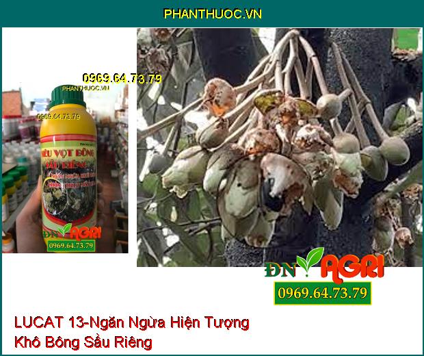 PHÂN BÓN LÚA LUCAT 13 –Chống Chịu Thời Tiết Bất Lợi, Tăng Khả Năng Thụ Phấn