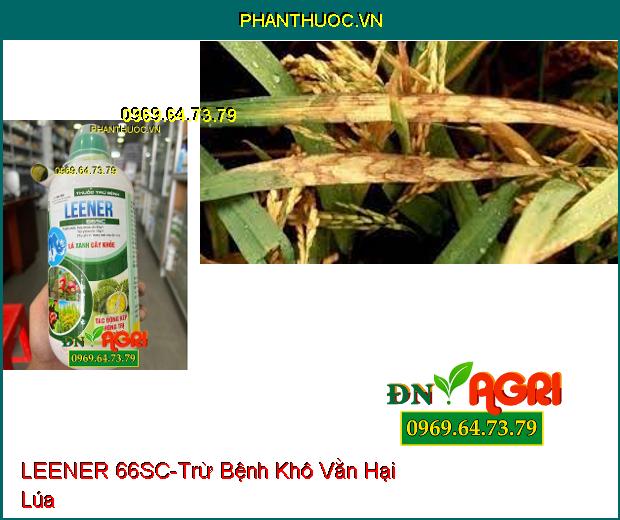 THUỐC TRỪ BỆNH LEENER 66SC – Trừ Bệnh Khô Vằn, Lem Lép, Rỉ Sắt, Đốm Vòng, Phấn Trắng