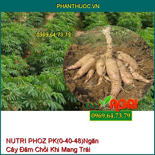 PHÂN BÓN LÁ HỖN HỢP NUTRI PHOZ PK (0-40-48) Ngăn Chặn Cây Đâm Chồi Khi Mang Trái