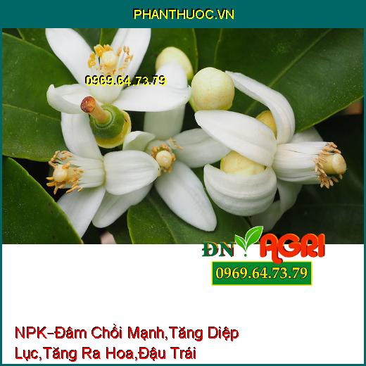 PHÂN BÓN LÁ HỖN HỢP NPK –Đâm Chồi Mạnh,Gia Tăng Diệp Lục , Tăng Ra Hoa, Đậu Trái