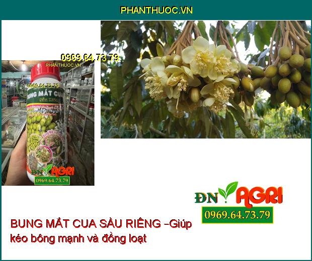 PHÂN BÓN LÁ BUNG MẮT CUA SẦU RIÊNG – KÉO BÔNG CỰC MẠNH – TĂNG ĐẬU ĐỒNG LOẠT 