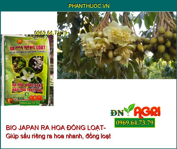 BIO JAPAN RA HOA ĐỒNG LOẠT- Kích Ra Hoa Đồng Loạt, Đậu Trái Cao