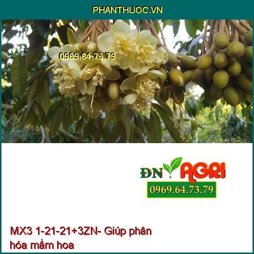 MX3 1-21-21+3ZN- Phân Bón Lá Chuyên Tạo Mầm Hoa, Hạn Chế Rụng Hoa, Trái