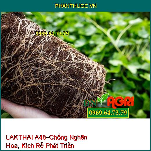 LAKTHAI A48 –Chống Hiện Tượng Nghẽn Hoa, Kích Rễ Phát Triễn