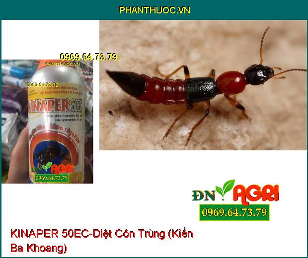 CHẾ PHẨM DIỆT CÔN TRÙNG KINAPER 50EC-Tẩm Rèm, Phun Diệt Côn Trùng Trong Nhà