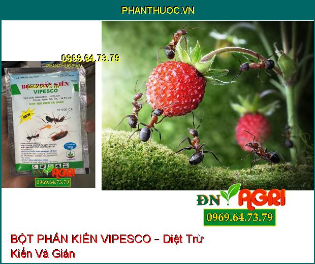 BỘT PHẤN KIẾN VIPESCO – Diệt Trừ Kiến Và Gián