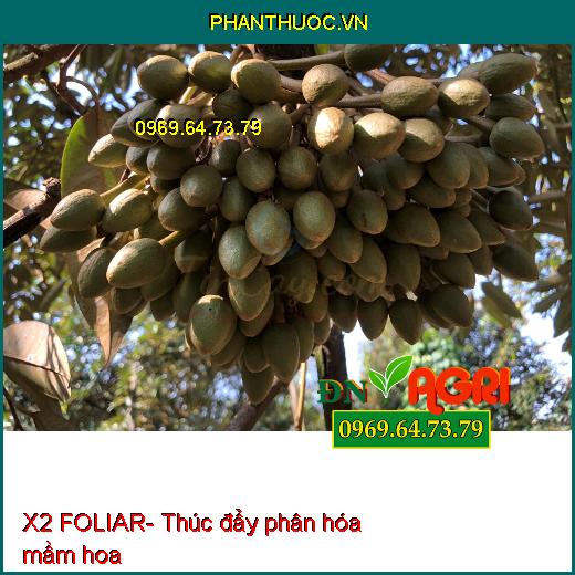 X2 FOLIAR- Phân Bón Vi Lượng, Phân Hóa Mầm Hoa, Đậu Trái Cao, Lên Màu Đẹp