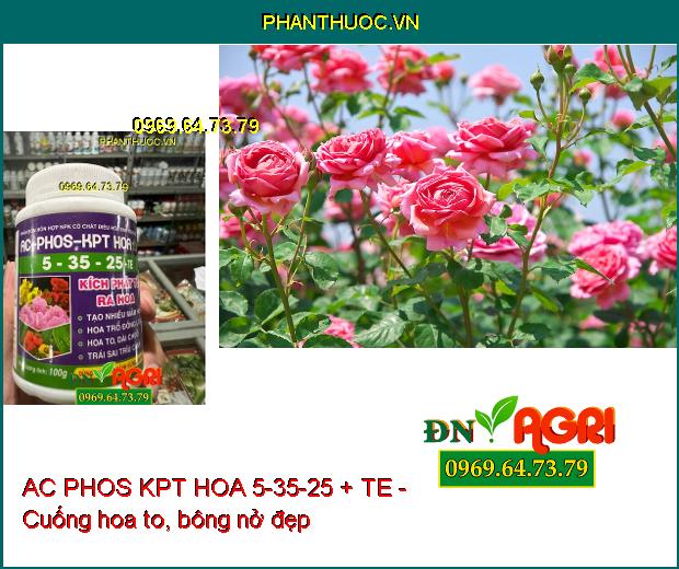 PHÂN BÓN HỖN HỢP NPK AC PHOS KPT HOA 5-35-25 + TE - Kích Phát Tố Ra Hoa