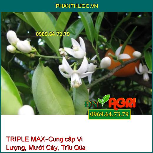 PHÂN BÓN LÁ HỮU CƠ KHOÁNG TRIPLE MAX –Cung cấp Vi Lượng, Mướt Cây, Trĩu Qủa