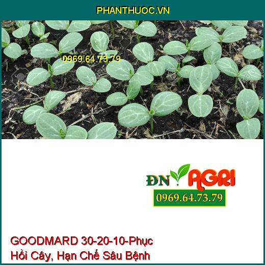 PHÂN BÓN HỖN HỢP NPK CAO CẤP GOODMARD 30-20-10-Phục Hồi Cây, Hạn Chế Sâu Bệnh