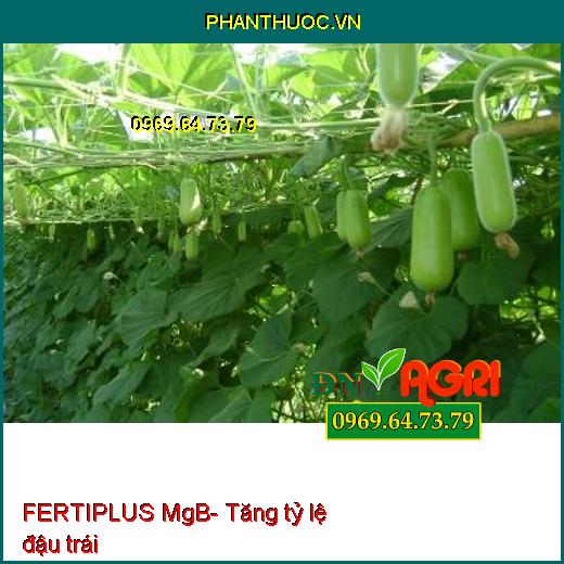 FERTIPLUS MgB- Phân Bón Lá Hữu Cơ Khoáng Tăng Tỷ Lệ Đậu Trái