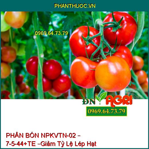 PHÂN BÓN NPKVTN-02 – 7-5-44+TE –Giảm Tỷ Lệ Lép Hạt, Giúp Cây Ra Hoa Nghịch Mùa