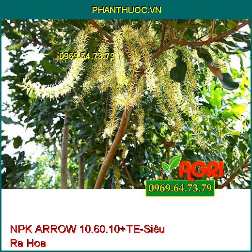 PHÂN BÓN LÁ HỖN HỢP NPK ARROW 10.60.10+TE - Siêu Ra Hoa, Hạn Chế Sâu Bệnh