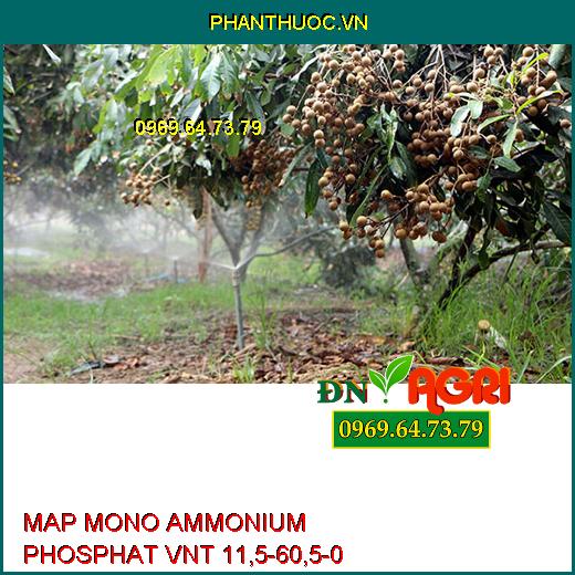 PHÂN BÓN CAO CẤP MAP MONO AMMONIUM PHOSPHAT VNT 11,5-60,5-0-Giúp Cây Phát Triển