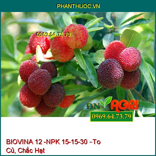 PHÂN BÓN HỖN HỢP NPK BIOVINA 12 -NPK 15-15-30 –To Củ, Chắc Hạt, Chống Sượng Trái