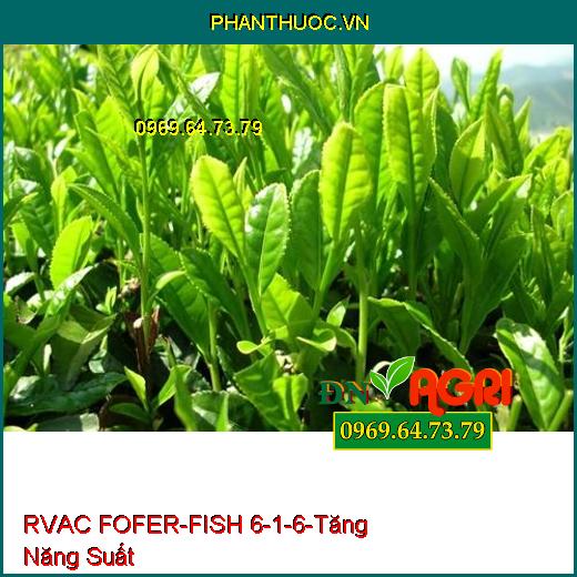 PHÂN BÓN LÁ RVAC FOFER-FISH 6-1-6 – Tăng Năng Suất , Phù Hợp Loại Đất Suy Kiệt