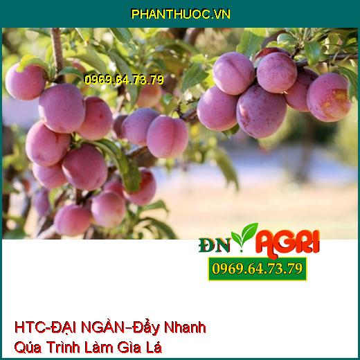 PHÂN BÓN LÁ HTC- ĐẠI NGÀN –Đẩy Nhanh Qúa Trình Làm Gìa Lá, Chống Sượng , Nứt Qủa