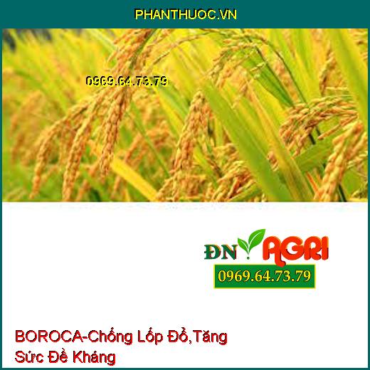  PHÂN BÓN LÁ TRUNG VI LƯỢNG-BOROCA-Chống Lốp Đổ, Tăng Sức Đề Kháng, Lớn Trái