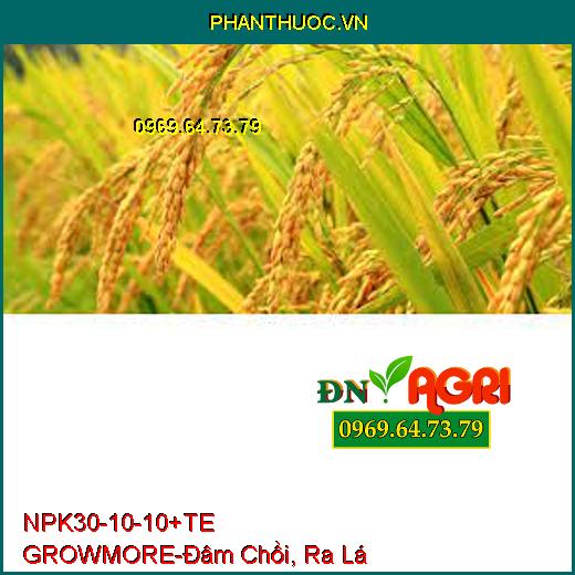 PHÂN BÓN LÁ NPK 30-10-10 +TE GROWMORE- Đẻ Nhánh, Đâm Chồi, Ra Lá Tốt