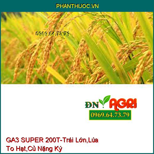 GA3 SUPER 200T- Kích Thích Sinh Trưởng, Trái Lớn Nhanh, Lúa To Hạt, Củ Nặng Ký