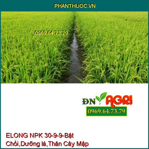 ELONG NPK 30-9-9-Bật Chồi Mạnh, Dưỡng lá, Phát Đọt Nhanh, Thân Cây Mập