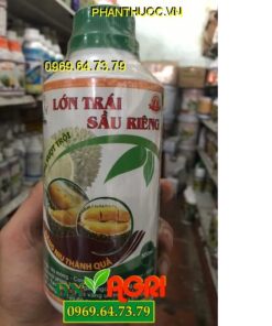 LỚN TRÁI SẦU RIÊNG- LAKMIN – Giúp Trái Lớn- Vỏ Mỏng- Cơm Dày- Nặng Ký