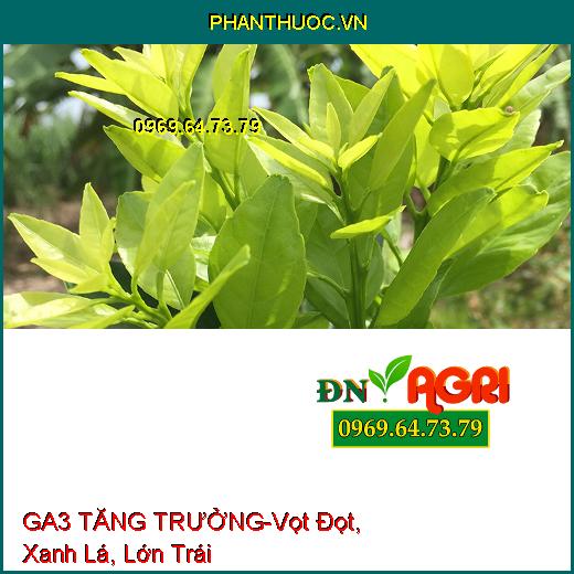 PHÂN BÓN CAO CẤP GA3 TĂNG TRƯỞNG-Vọt Đọt, Xanh Lá, Đẻ Nhánh, Dài Bông, Lớn Trái