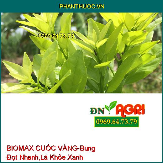 PHÂN BÓN BIOMAX CUỐC VÀNG – Bung Đọt Cực Nhanh, Lá Khỏe Xanh Mướt Lá