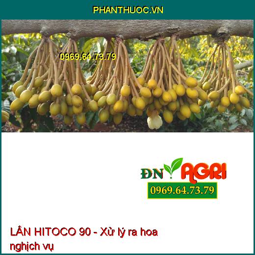 LÂN HITOCO 90 - Kích Già lá, Ra Hoa Theo Ý Muốn, Chống Nghẹn Bông