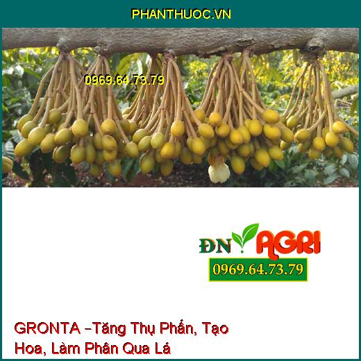 PHÂN BÓN LÁ TRUNG LƯỢNG GRONTA –Tăng Thụ Phấn, Tạo Hoa, Làm Phân Qua Lá Cho Cây