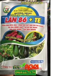 LÂN 86 +TE -Ra Hoa Đồng Loạt -Ra Rễ Cực Mạnh -Đậu Trái Nhiều -Lớn Quả