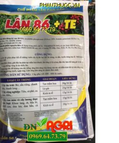 LÂN 86 +TE -Ra Hoa Đồng Loạt -Ra Rễ Cực Mạnh -Đậu Trái Nhiều -Lớn Quả