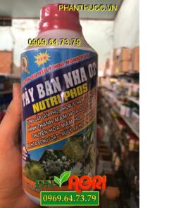 NUTRI PHOS TÂY BAN NHA 02- Cung Cấp Lân Giúp Tạo Mầm Hoa -Tạo Hoa Nghịch Mùa