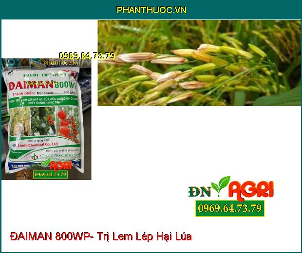 THUỐC TRỪ BỆNH ĐAIMAN 800WP- Trị Lem Lép Hại Lúa, Mốc Sương Hại Cà Chua, Chết Nhanh Hại Hồ Tiêu