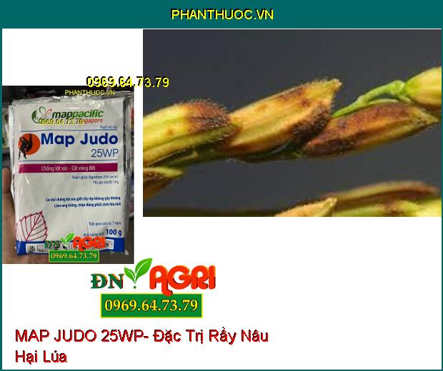 THUỐC TRỪ SÂU MAP JUDO 25WP- Trị Rệp Sáp, Rầy Nâu