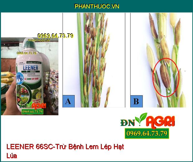 THUỐC TRỪ BỆNH LEENER 66SC –Tác Dụng Kép Sạch Bệnh, Dưỡng Cây, Màu Sáng Đẹp