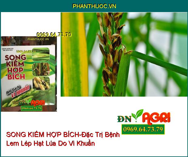 THUỐC TRỪ NẤM BỆNH SONG KIẾM HỢP BÍCH – Đặc Trị Cháy Bìa Lá , Phục Hồi Cây