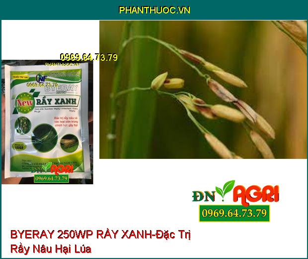 THUỐC TRỪ SÂU BYERAY 250WP RẦY XANH – Hạn Chế Hình Thành Trứng , Ung Trứng