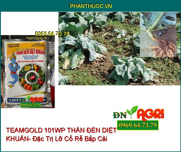 THUỐC TRỪ BỆNH TEAMGOLD 101WP THẦN ĐÈN DIỆT KHUẨN- Đặc Trị Nấm, Vi Khuẩn Trên Cây Trồng