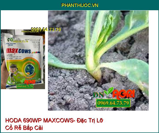 THUỐC TRỪ BỆNH HODA 690WP MAXCOWS- ĐẶC TRỊ THÁN THƯ, PHẤN TRẮNG GÂY HẠI TRÊN CÂY XOÀI