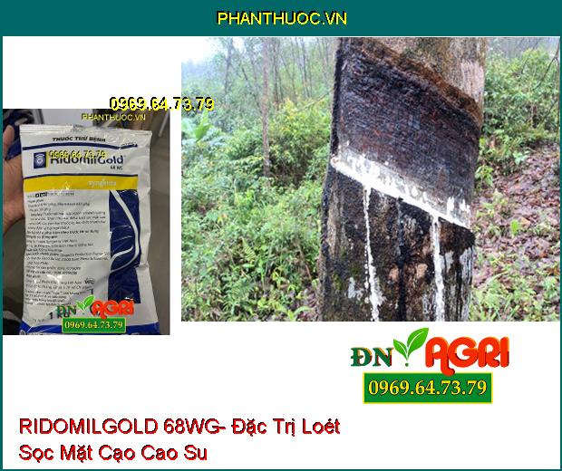 THUỐC TRỪ BỆNH RIDOMILGOLD 68WG- Đặc Trị Sương Mai, Thán Thư, Loét Sọc, Chết Nhanh, Đốm Lá