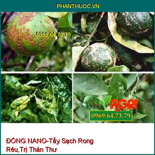 DUNG DỊCH ĐỒNG MAGIE ĐỒNG NANO-Tẩy Sạch Rong Rêu, Trị Thổi Ròng,Thán Thư