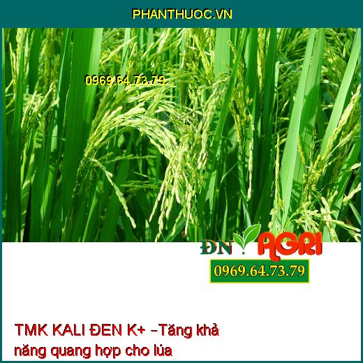 PHÂN ĐA LƯỢNG BÓN LÁ TMK KALI ĐEN K+ – Đòng To Khỏe, To Trái, Đẹp Trái