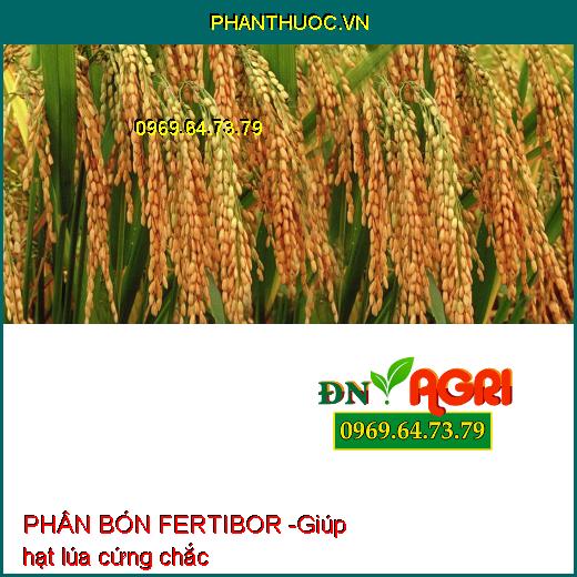 PHÂN BÓN VI LƯỢNG – FERTIBOR – RỄ MẬP – TRÁI ĐỀU – BÔNG TO