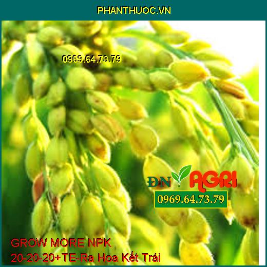 GROW MORE NPK 20-20-20+TE-Giúp Phân Hóa Mầm Hoa, Ra Hoa Kết Trái