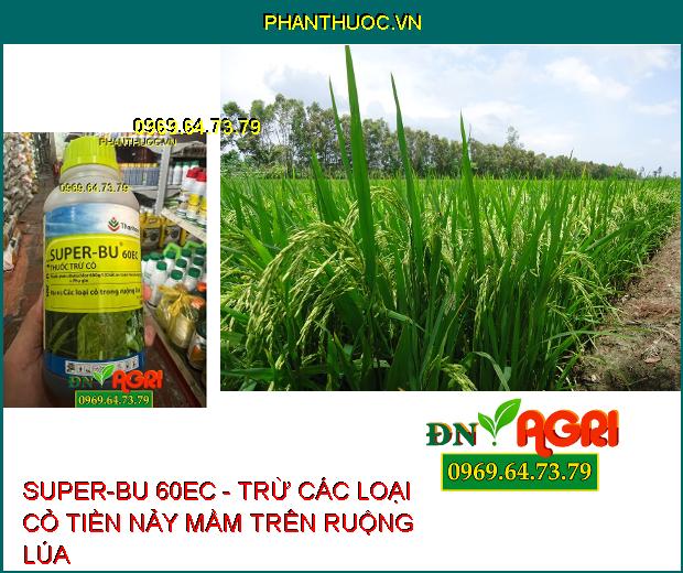 THUỐC TRỪ CỎ SUPER-BU 60EC - Trừ Được Nhiều Loại Cỏ Cho Lúa Và Cây Trồng