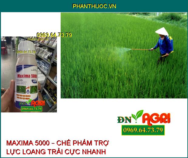 MAXIMA 5000 – CHẾ PHẨM TRỢ LỰC LOANG TRẢI CỰC NHANH THẤM SÂU CỰC MẠNH